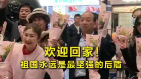 国产野战